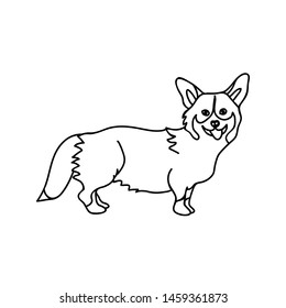 Cute corgi dog standing and smiling with his tongue out. Black and white outline vector illustration. Print or tattoo design. 