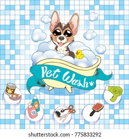 Cute corgi  dog takes a bath in the bathtub