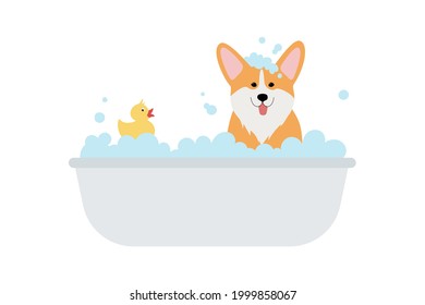 Cute corgi dog taking a bath full of soap foam. Grooming concept. Ginger puppy wash in bathroom. Yellow rubber duck in bathtub. Vector illustration in cartoon flat style isolated on white background.