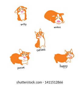 Cute corgi dog in various poses set, funny animal cartoon character vector Illustration on a white background. Dog behavior illustration with inscription feelings and emotions
