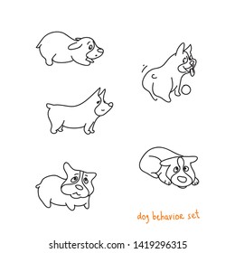 Cute corgi dog in various poses set, funny animal cartoon character vector Illustration on a white background. Dog's feelings and emotions
