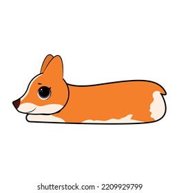 Cute corgi dog  vector illustration