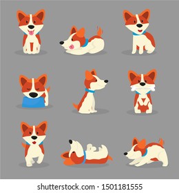 Cute corgi dogs color vector illustrations set. Playful breed puppy in different poses cartoon stickers, patches set. Happy pet in collar isolated cliparts. Domestic animal eating, sleeping, playing