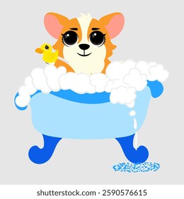 Cute corgi enjoying a bubble bath in a blue tub, holding a yellow rubber duck. The fluffy puppy surrounded by foam is perfect for pet grooming designs, greeting cards, stickers