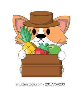 Cute Corgi with fruit in wooden box in color