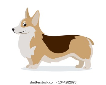 Cute corgi icon, small playful dog with short paws isolated, domestic animal, pet, vector illustration in flat style