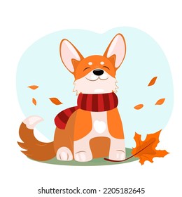 Cute corgi with a maple leaf in a scarf, dog, autumn. Vector graphics