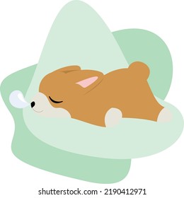 Cuidada Corgi Puppy Flat