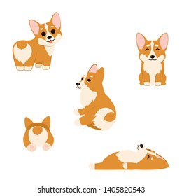 Cute corgi puppies isolated on white backgound. Vector illustration. Perfect for kid's room wall art, prints on T-shirts.