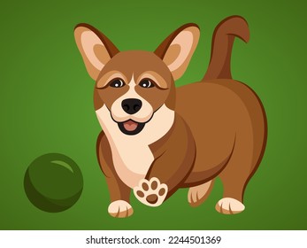 Cute corgi puppy playing with the ball