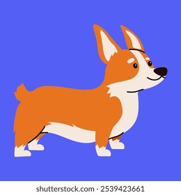 Cachorro corgi bonito correndo desenhos animados, ilustração vetorial