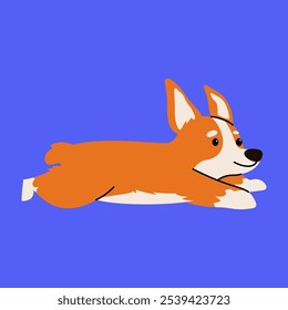 Cachorro corgi bonito correndo desenhos animados, ilustração vetorial