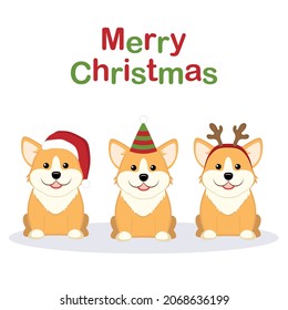 Cute Corgi puppy in Santa hat. Christmas Dog