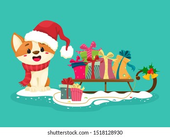 Cute Corgi puppy with a scarf, Christmas red hat and gift boxes on a sled. Vector illustration in cartoon flat style.