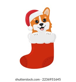 Cute corgi in Santa Claus hat in red christmas sock . Childish vector character. Vector illustration. Perfect for Christmas cards and decorative design.