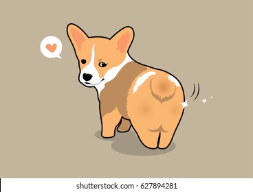 Cute Corgi Shiny Butt