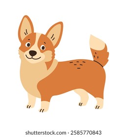 Cute corgi standing. Pet, breed. Isolated flat vector illustration