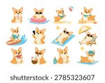 Cute Corgi Summer Vacation Set. Funny Beach Dog Characters Collection with Surfing, Sunbathing, Selfie, Ice Cream, Tropical Drinks and Beach Activities. Vector Illustration.