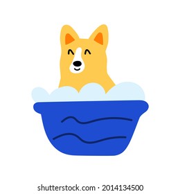 Cute corgi taking a bath. Illustration on white background.