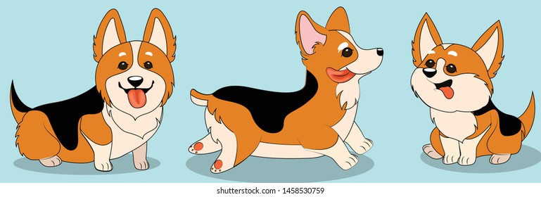 Cute Corgi in Three Different Poses