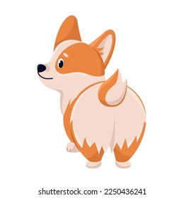 Cute corgi turned his back, comic character. Vector illustration of funny dog with friendly emotion. Cartoon playing puppy isolated white. Animal companion