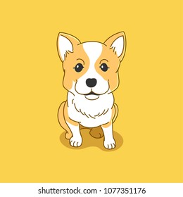 cute corgi vector illustration