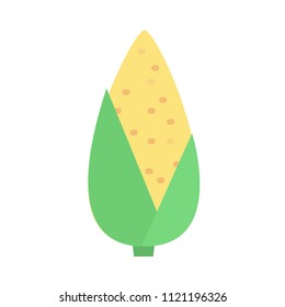 cute corn with green leaves. flat vector illustration. icon white isolate background