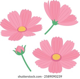 Cute cosmos flower clipart,Cute flower vector illustration