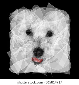 Cute Coton de Tulear dog vector sketch from artistic lines
