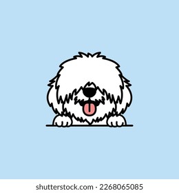 Cute coton de tulear puppy cartoon, vector illustration