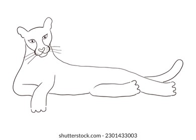 Un puro cougar con dibujos a mano dibujando ilustraciones de personajes de dibujos animados, boceto. Arte de línea, diseño de estilo de dibujo, vector aislado. Animales tropicales, vida silvestre de la jungla, gatos grandes, safari, naturaleza, elemento impreso