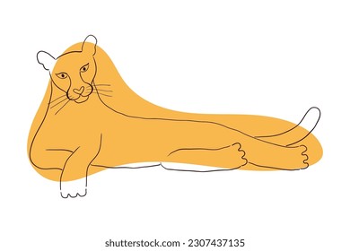 Un puro cougar con dibujos a mano dibujando ilustraciones de personajes de dibujos animados, boceto. Arte de línea, diseño de estilo de dibujo, vector aislado. Animales tropicales, vida silvestre de la jungla, gatos grandes, safari, naturaleza, elemento impreso