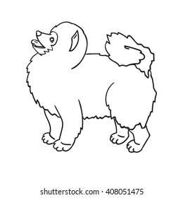 Cute countour spitz isolated on white background. Funny dog. Vector illustration.  Eps 10.