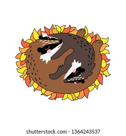 Cute couple of badgers sleeping in hugs. Vector illustration 