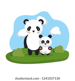 cute couple bears panda in the camp