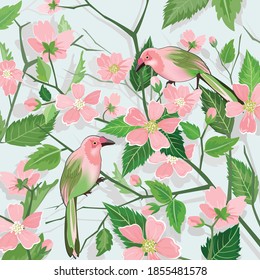 Cute a couple bird and pink blossom,pink flower with green leaf.