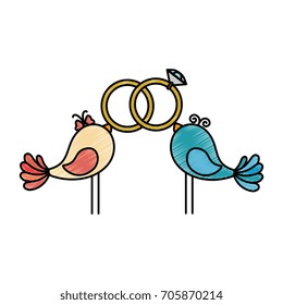 Cute couple of birdies