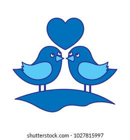 cute couple birds togehther with heart in the field