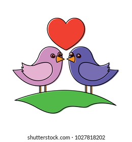 cute couple birds togehther with heart in the field