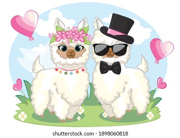 cute couple cartoon llama with no drama llama text. Happy Valentine's day greeting card.