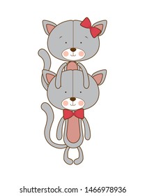 cute couple of cats on white background