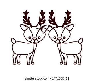 cute couple of deers on white background
