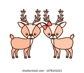cute couple of deers on white background