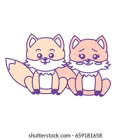 cute couple fox wild animal with beautiful expression