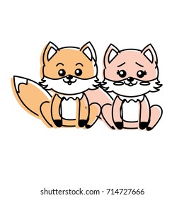 cute couple fox wild animal with beautiful expression