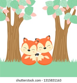 Cute couple foxes in the forest.