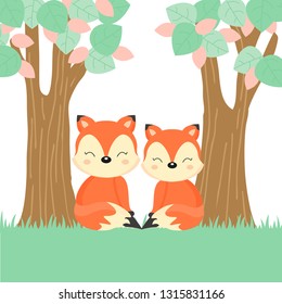 Cute couple foxes in the forest.