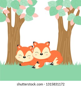 Cute couple foxes in the forest.