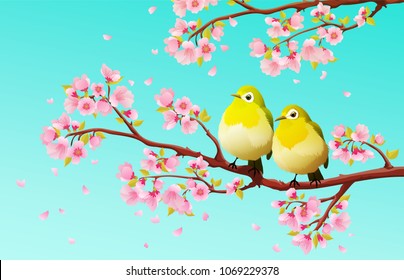 Cute couple of green japanese white-eye birds on sakura tree with cherry blossom and blue sky. Vector illustration.