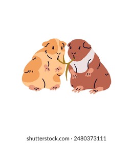 Cute couple of hungry guinea pigs eats hay together. Fluffy pair of cavies chewing, tasting blade of grass. Adorable pets, small domestic animals. Flat isolated vector illustration on white background